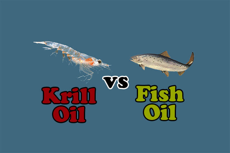 Fish Oil vs Krill Oil - Which One Should I Take?